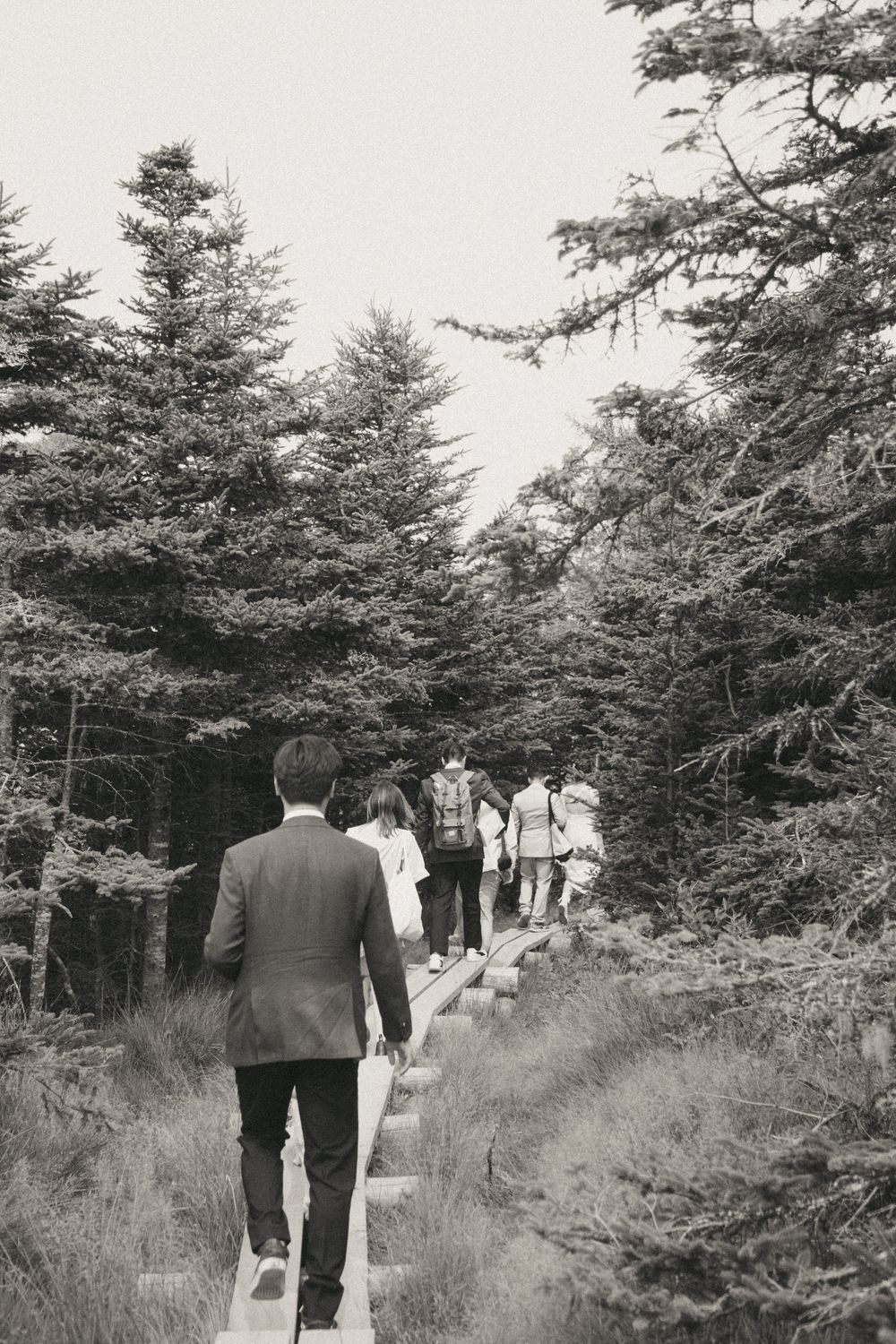 Wedding Ceremony at Torbay Point on the East Coast Trail captured by Newfoundland documentary style wedding photographer Kaitlyn yvette