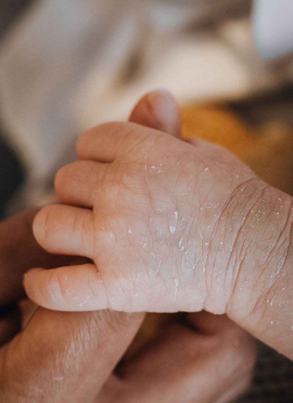 Natural newborn session