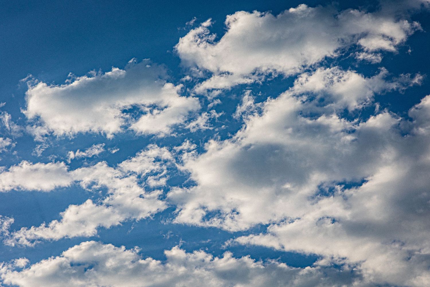 Panoramic view of white puffy clouds scattered across a vibrant blue sky on a sunny day.