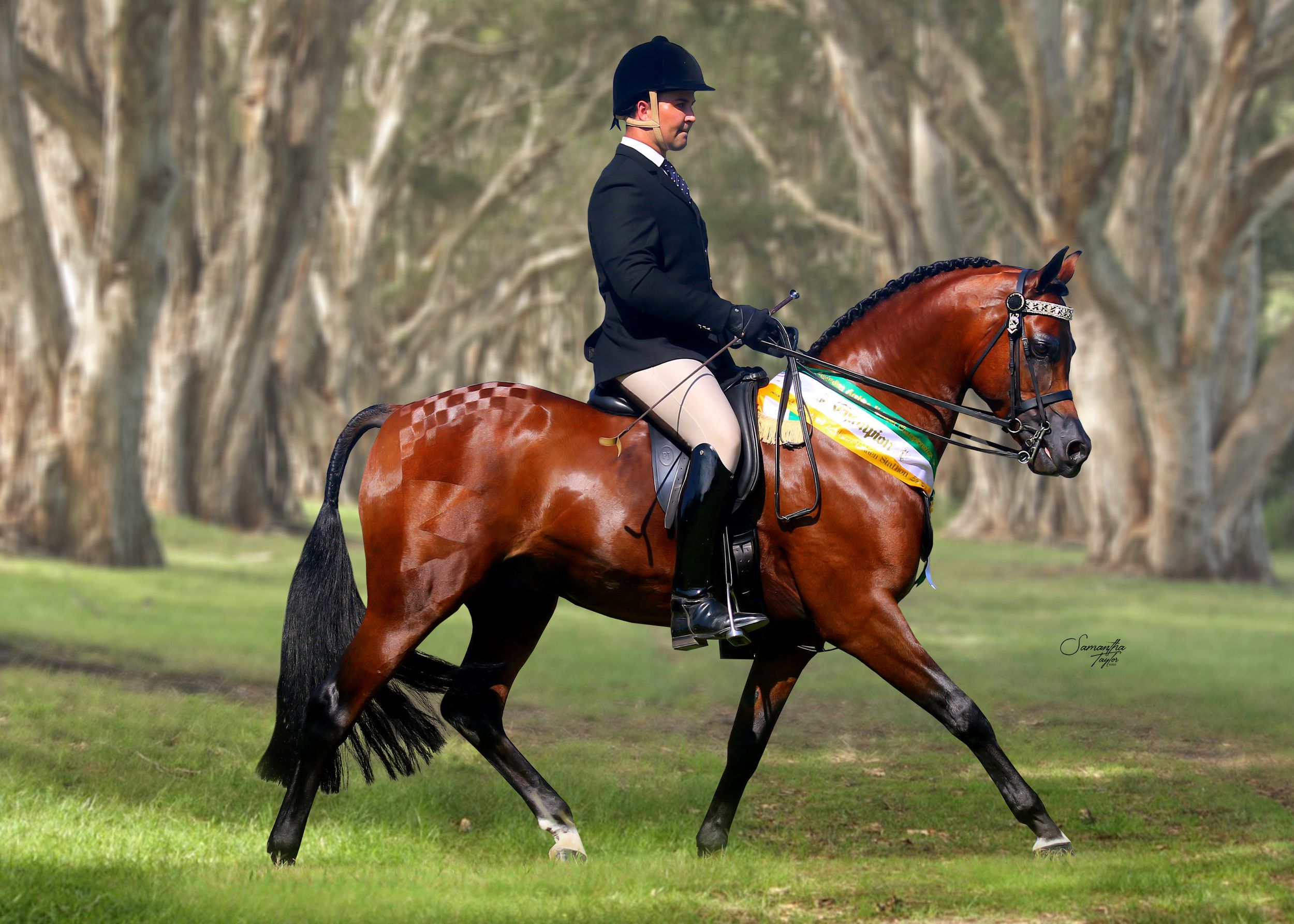 Photographer & Graphic Designer based in Longwarry, Victoria ~ Australia.