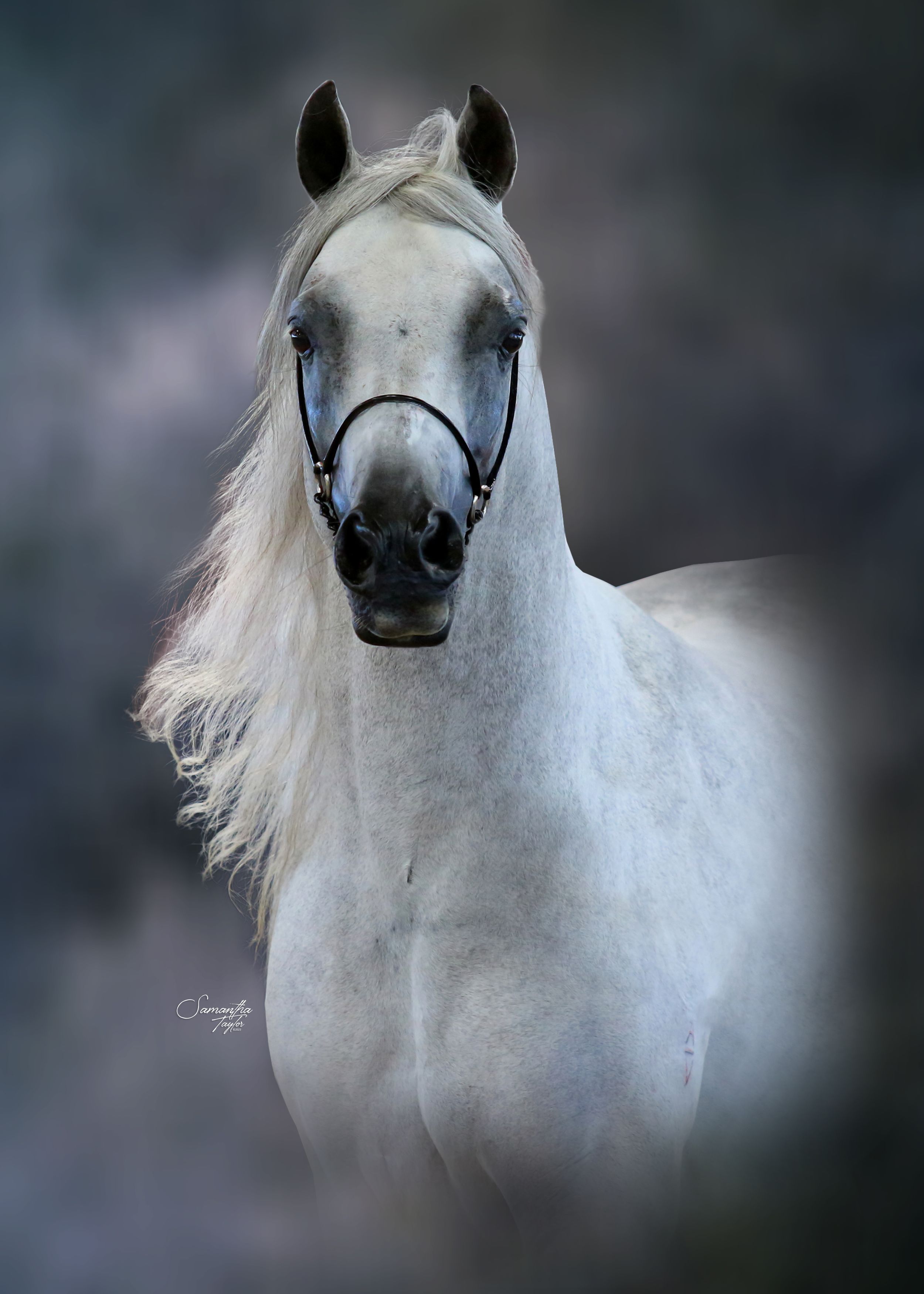 Photographer & Graphic Designer based in Longwarry, Victoria ~ Australia.