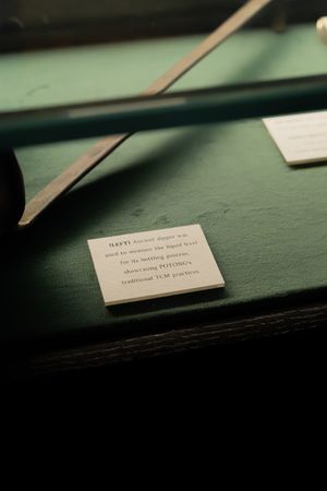 Close-up view of a small white paper label with text against a dark green background.