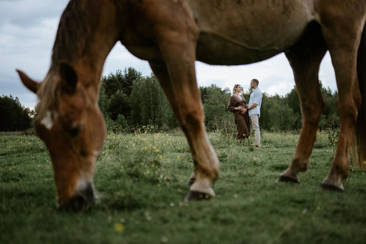sesja ciążowa plenerowa Katowice sesja brzuszkowa w plenerze sesja w stajni fotograf Katowice Śląsk sesja zdjęciowa ciąża zdjęcia ciążowe