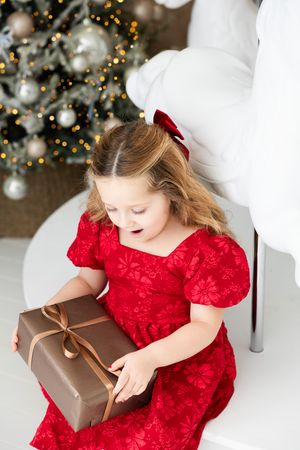 A festive holiday scene with a red velvet dress and brown wrapped present near a decorated Christmas tree.