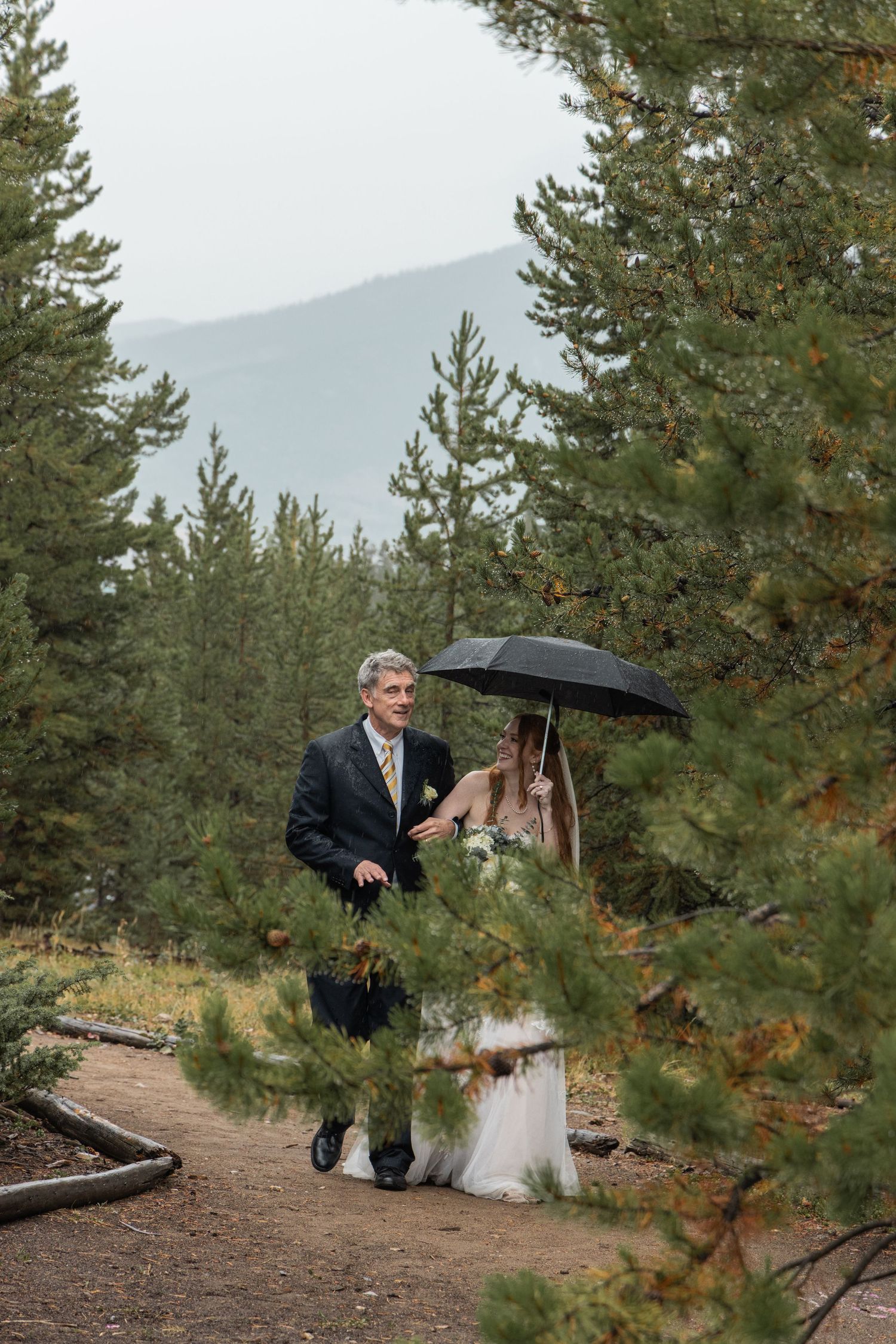 Wedding couple walking on forest path under black umbrella with pine trees and mountains in background.