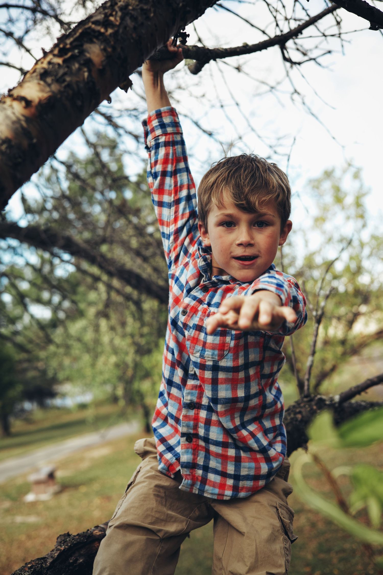 Child in plaid shirt and khaki pants climbing a tree branch on a sunny day in nature.
