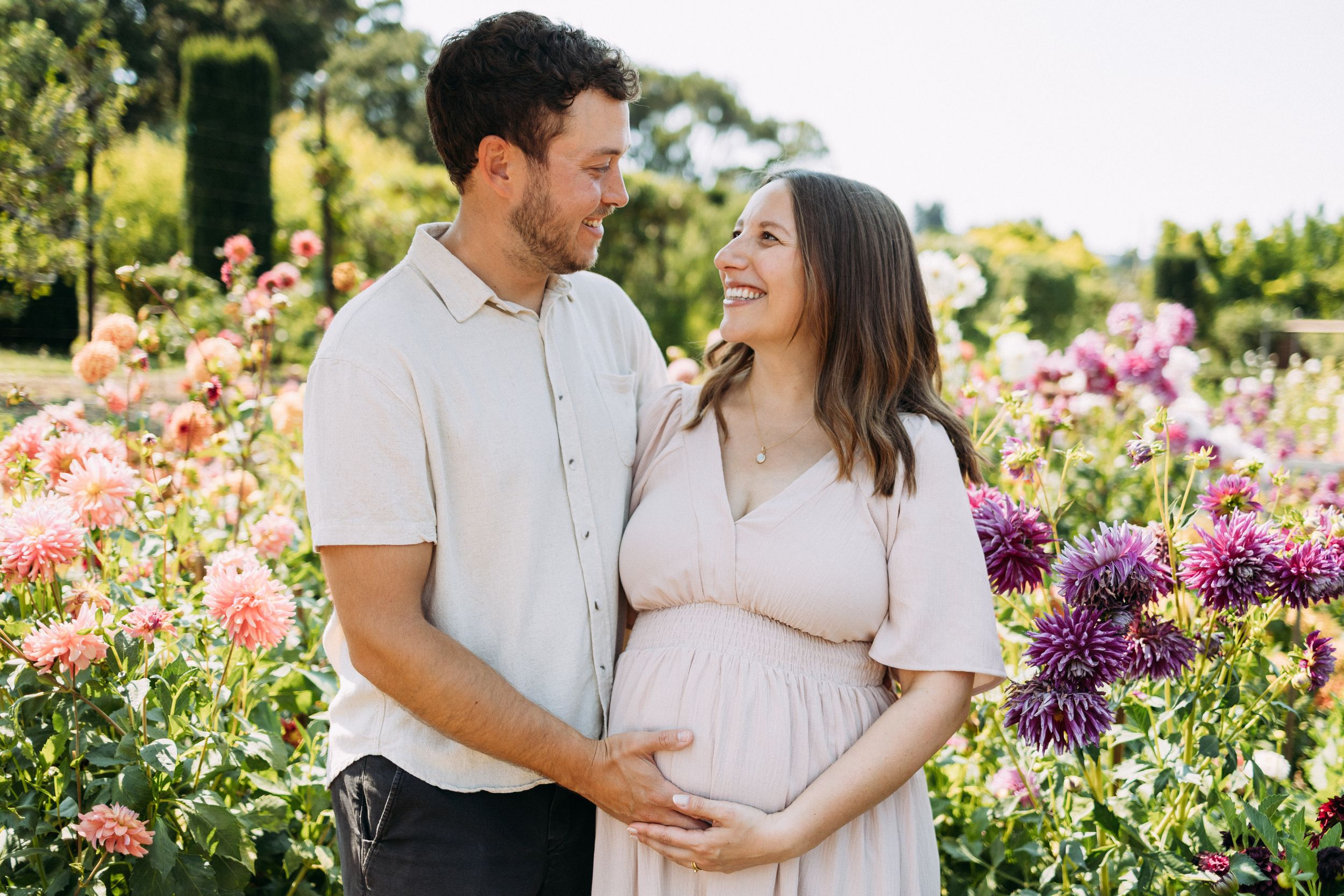 Maternity photos at Filoli Estate dahlia garden in August