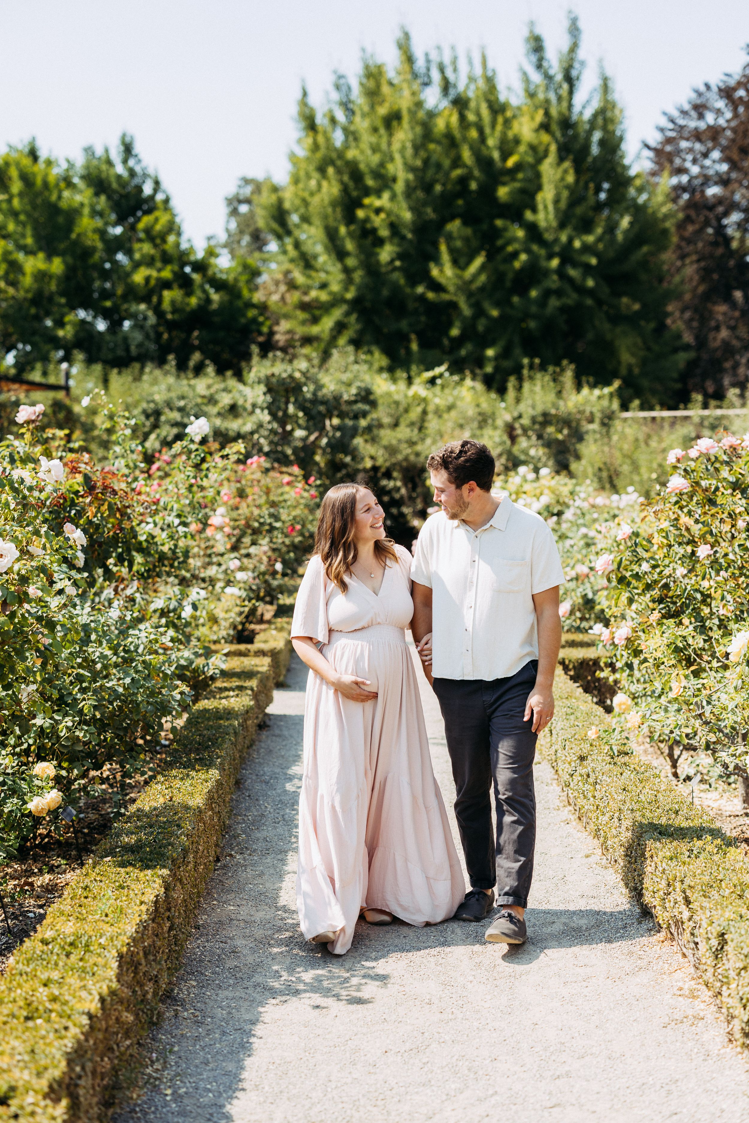 Maternity photos at Filoli Estate rose garden in August
