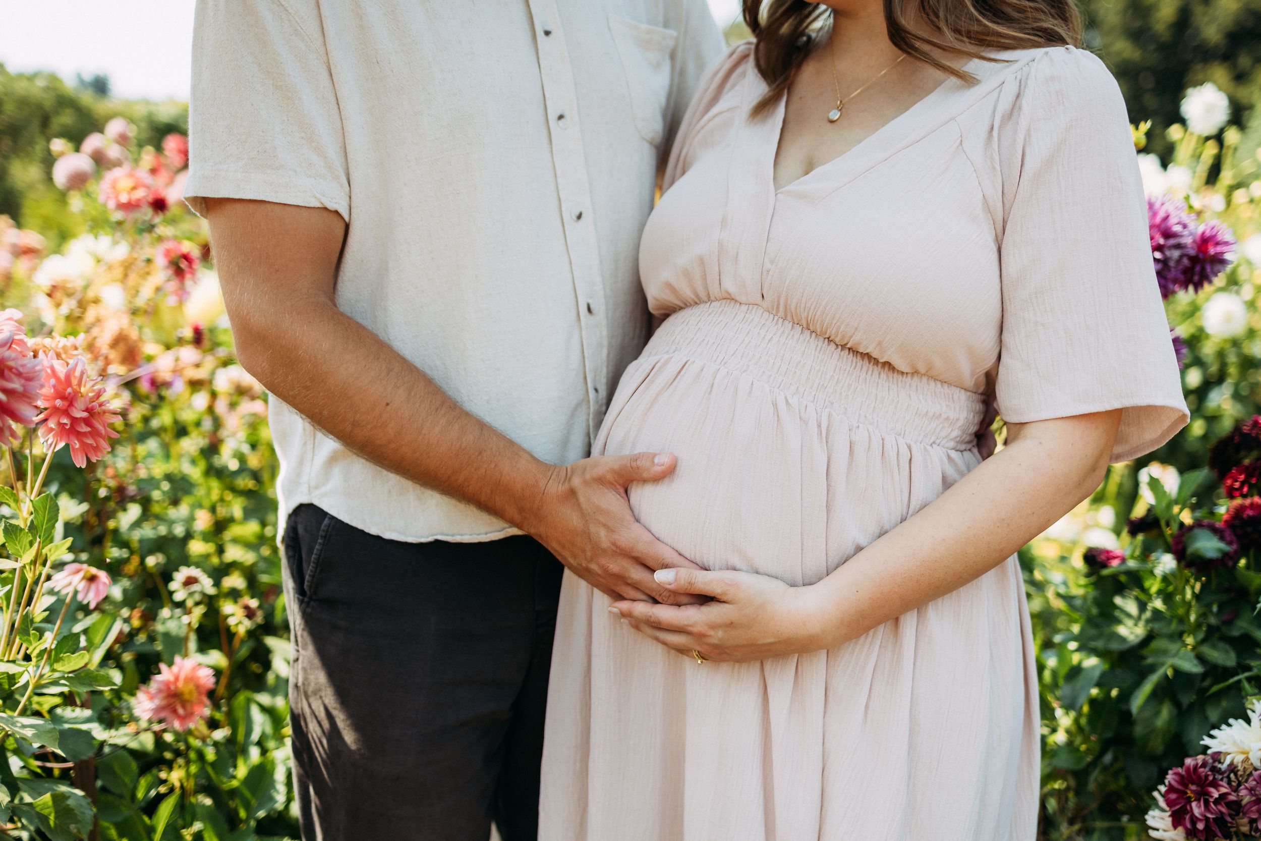 Maternity photos at Filoli Estate dahlia garden in August