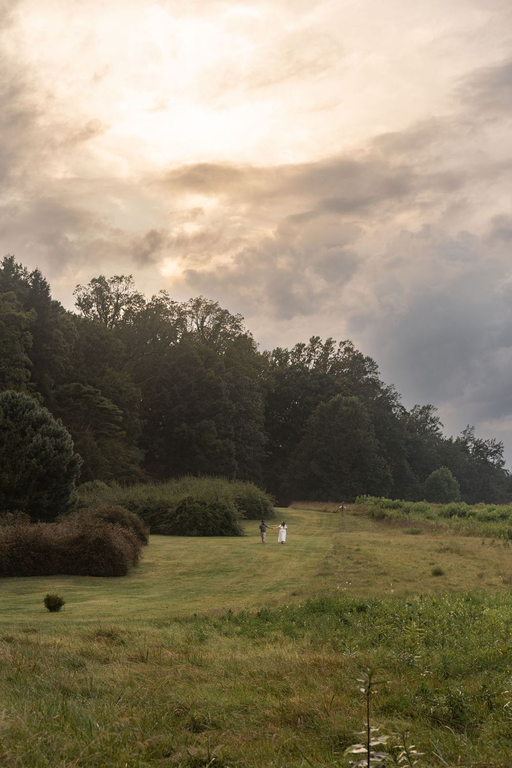 Dramatic cloudy sky over rolling green hills with trees silhouetted along the horizon during golden hour.