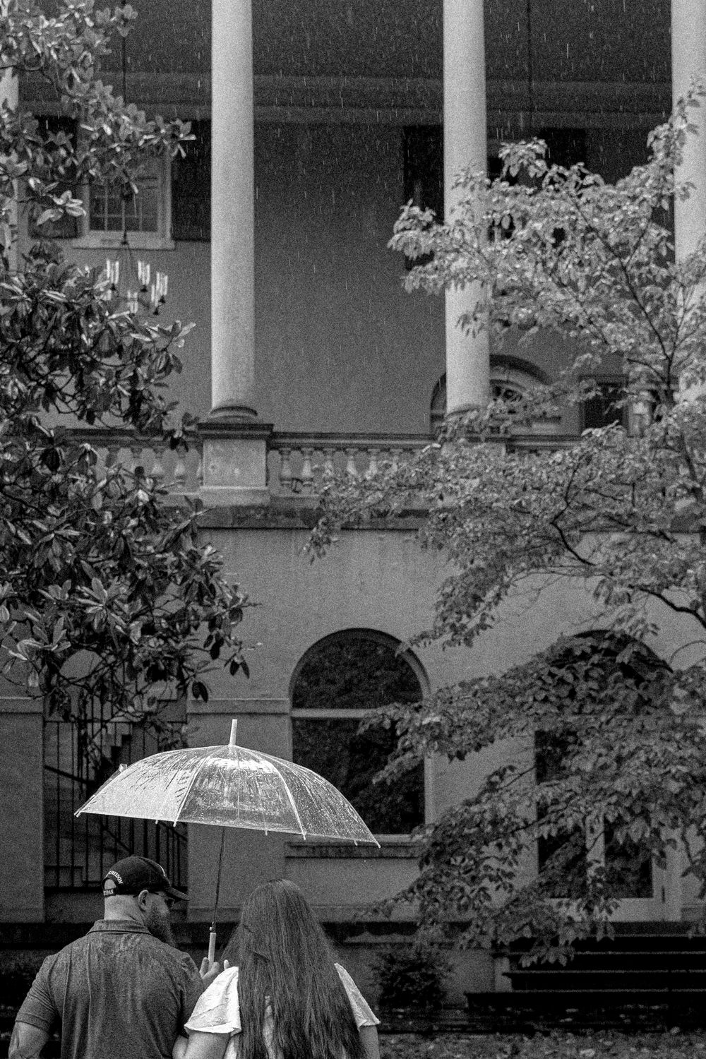 People walk with umbrellas through a rainy day on a city street lined with classical columns and blooming trees.