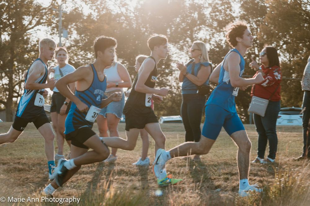 Male cross country runners in blue uniforms sprint at the start of a race on a grassy course at sunset.