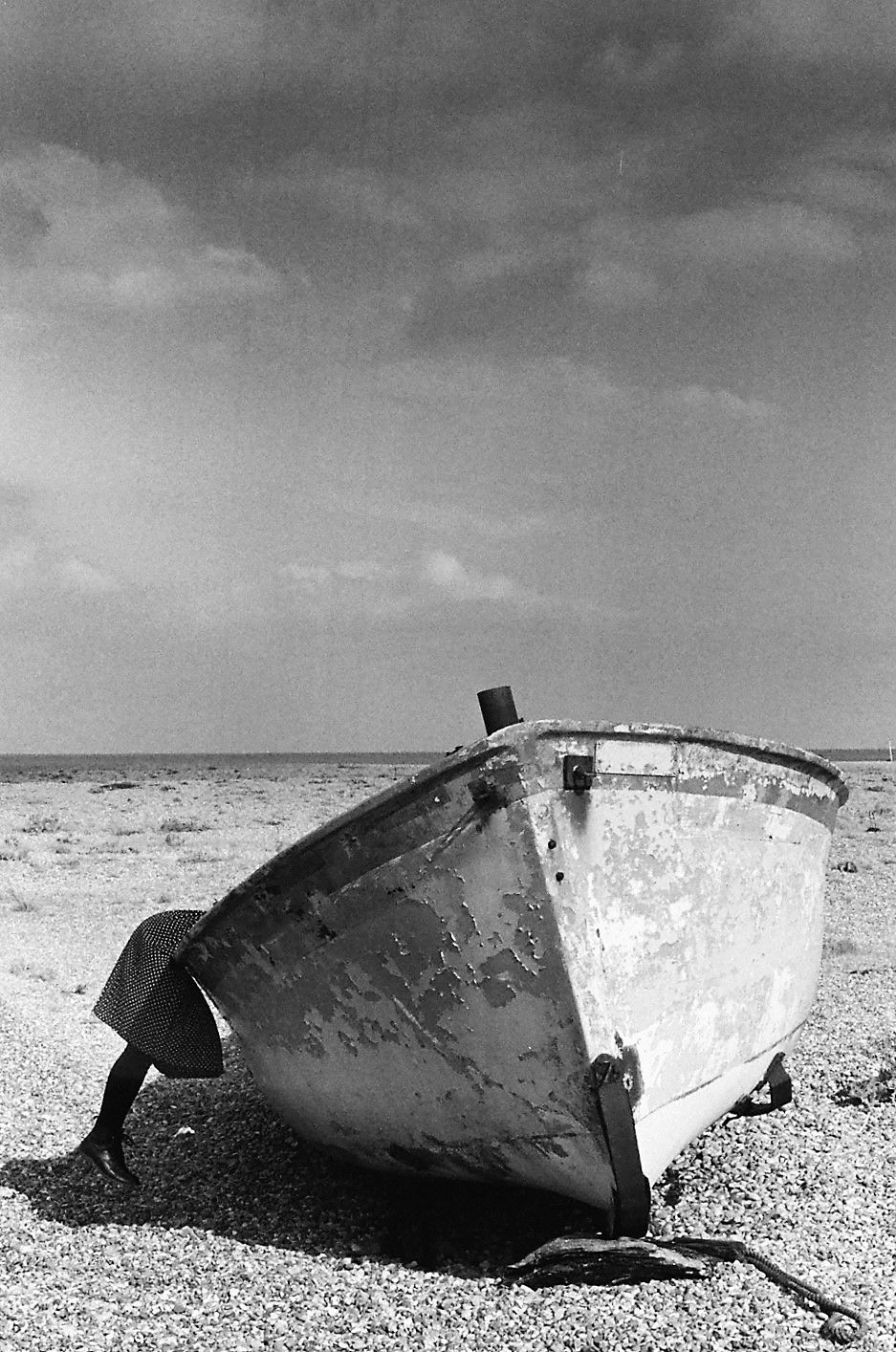 Dungeness