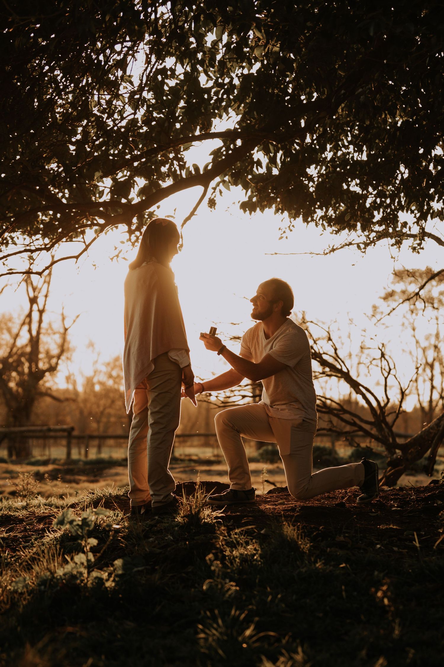 A sunset proposal scene under a tree canopy with one person kneeling.