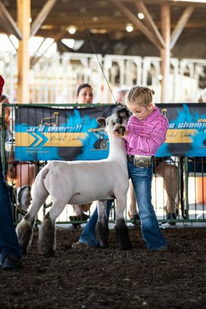 Show animals being presented in an indoor arena with dirt floor and wooden beams.