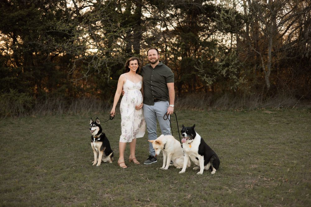 A couple stands in a grassy field at sunset with their three black and white dogs.