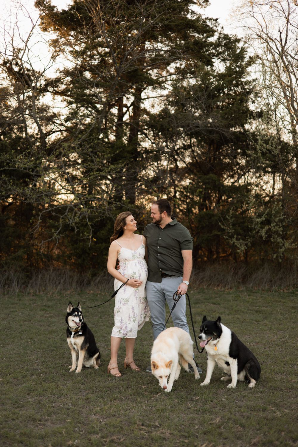 A couple stands in a grassy field at sunset with their three dogs - two huskies and a white dog on leashes.
