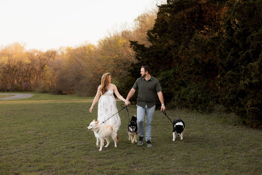 Two people walking their black and white dogs together in a grassy field during golden hour sunset.