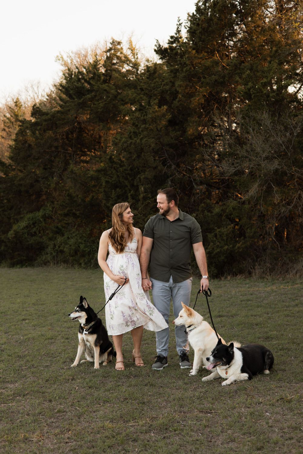 A couple walks their three dogs in a grassy field at sunset with trees in the background.