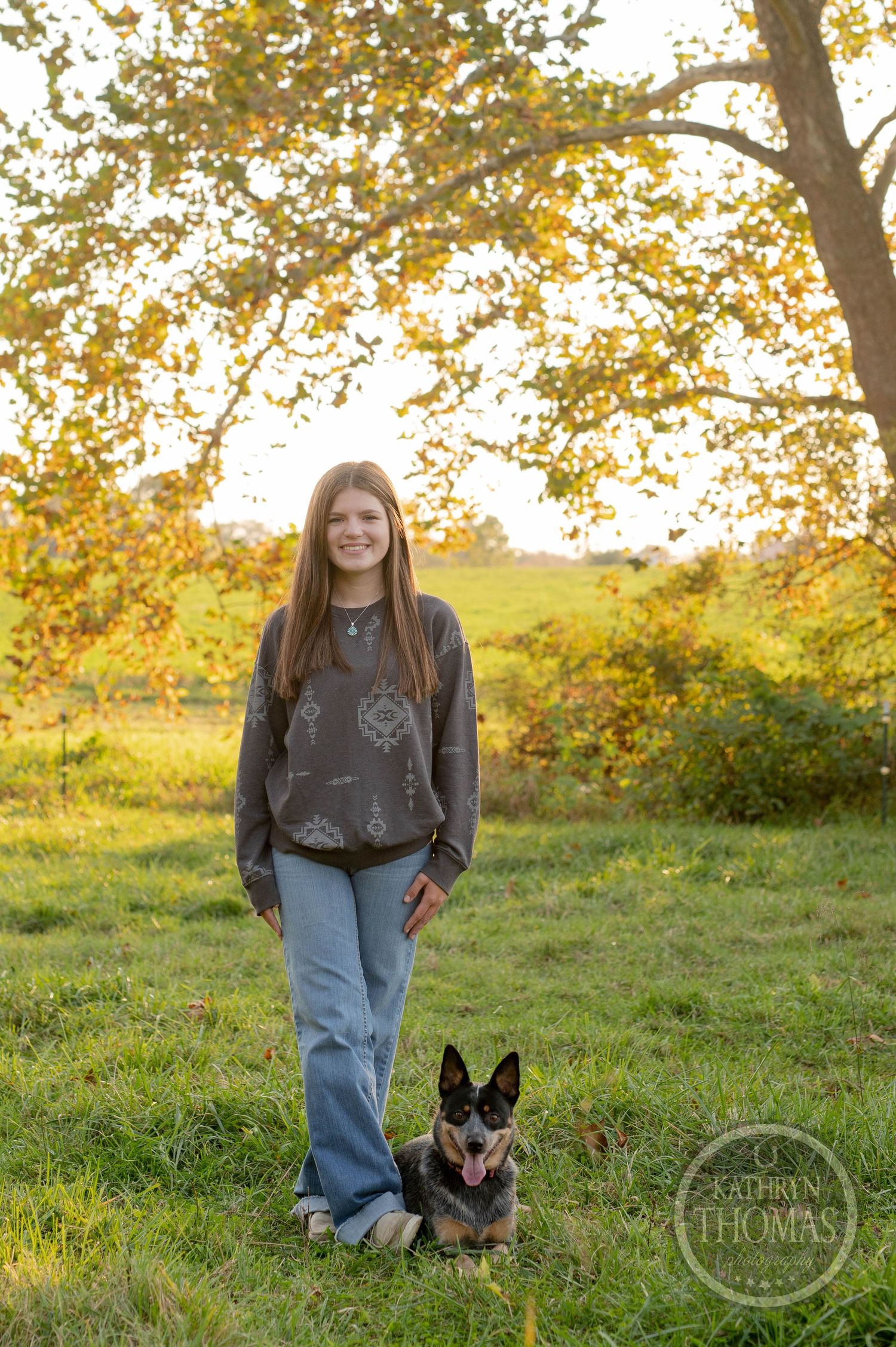 Person stands with Australian Cattle Dog in sunlit field with golden autumn trees.