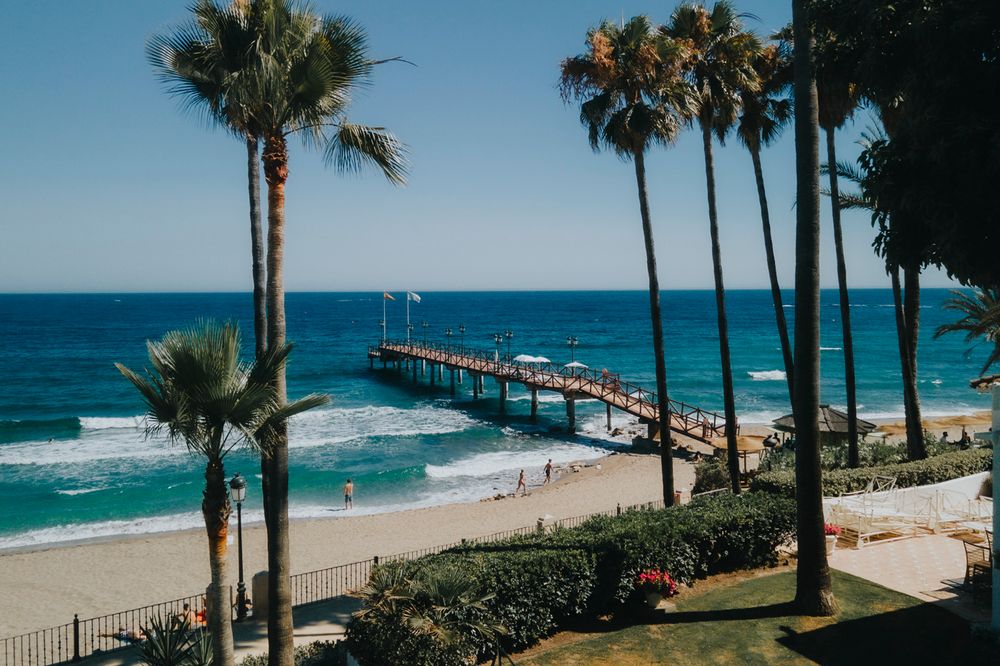 A scenic beach pier extends into turquoise ocean waters, framed by tall palm trees and white sandy shoreline in California.