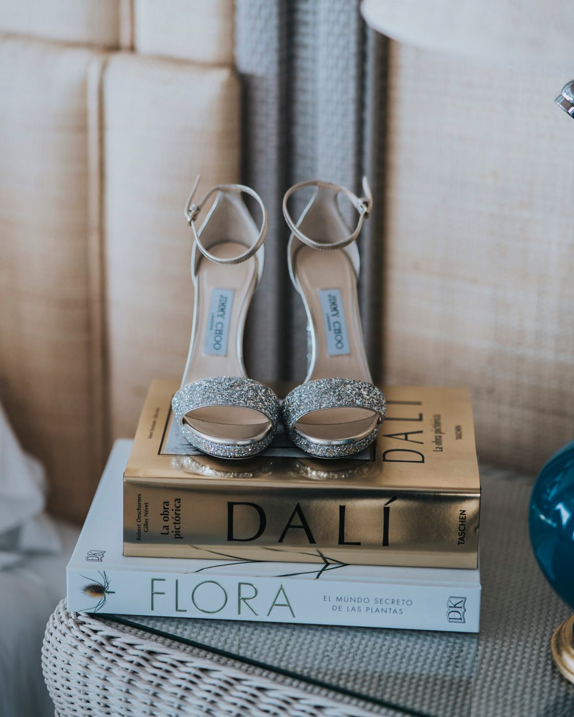 Silver sparkly wedding shoes perched on stacked Dali and Flora books with a textured background.