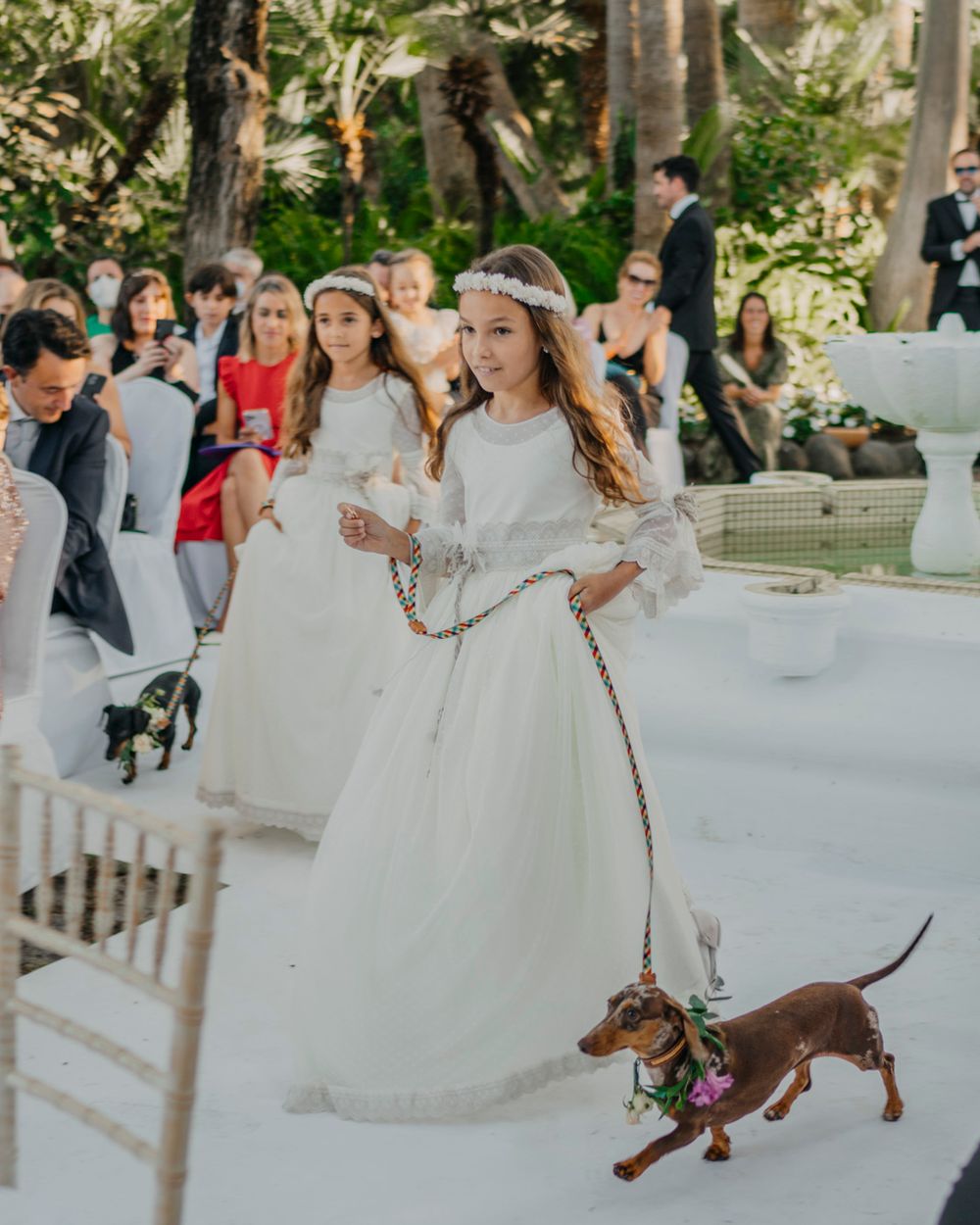 A young attendant in a white dress ceremoniously walks a festive dachshund wearing holiday decor down a white aisle outdoors.