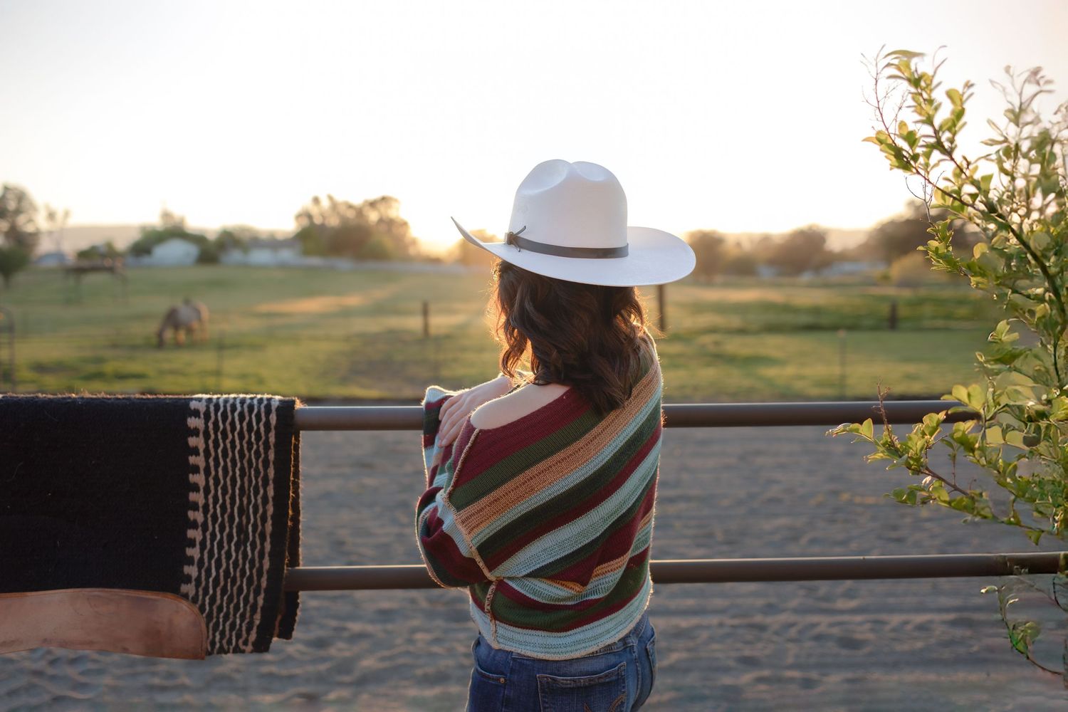 Back silhouette of Dixon high school student leaning on a horse pen fence with a cowboy hat and striped sweater, gazing into the distance
