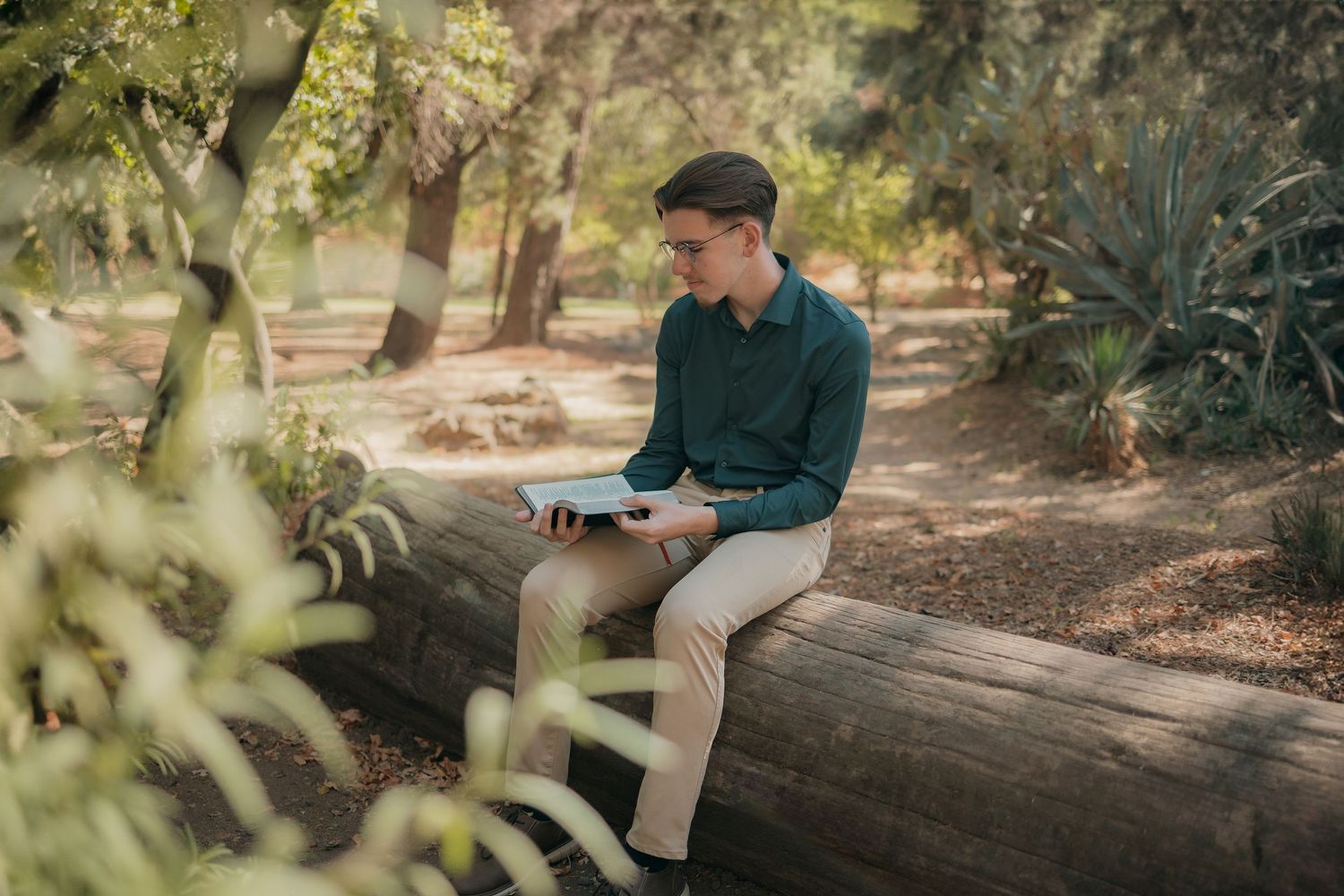 Vanden High School senior boy sitting on a log, reading his Bible in a quiet, peaceful outdoor portrait shoot