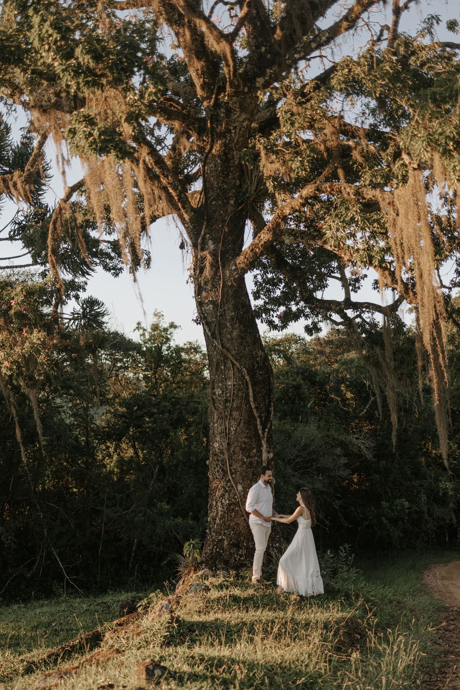 couple holding hands getting in front of a millenar tree with leaves that  seems like hair
