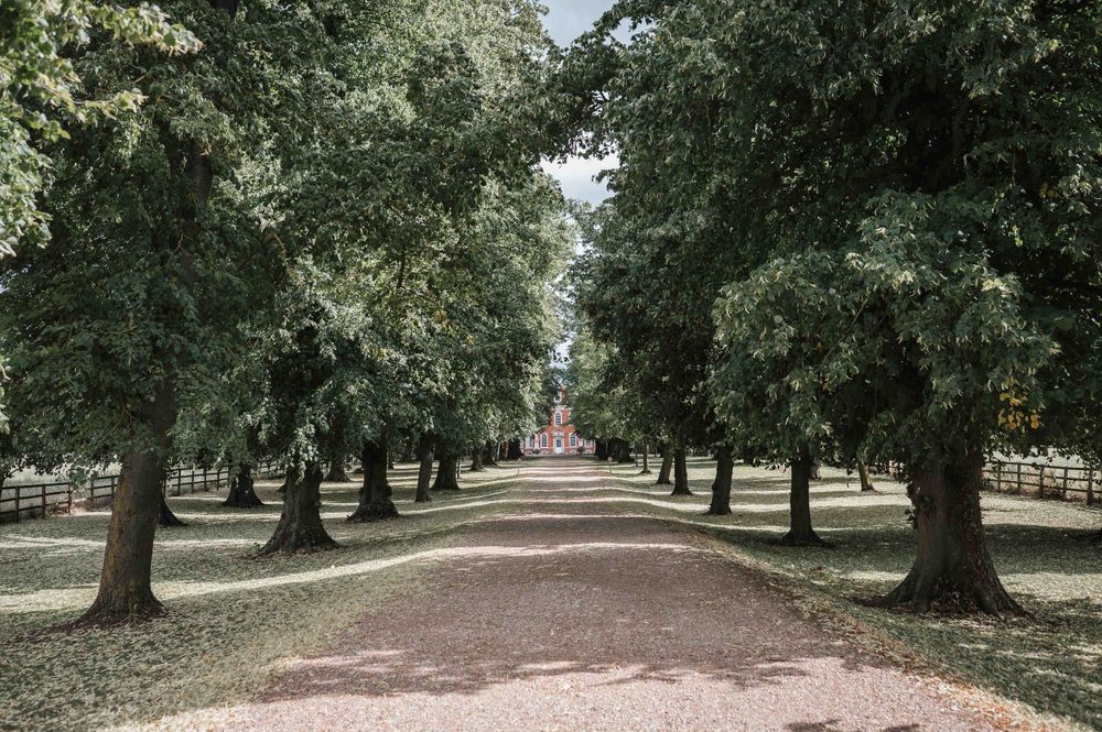 A tree-lined gravel path leads through a scenic park with lush green canopy overhead, creating a peaceful walkway.