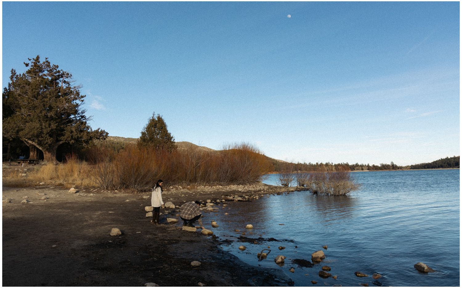 A scenic shoreline with rocks and shrubs along a tranquil lake on a sunny autumn day.