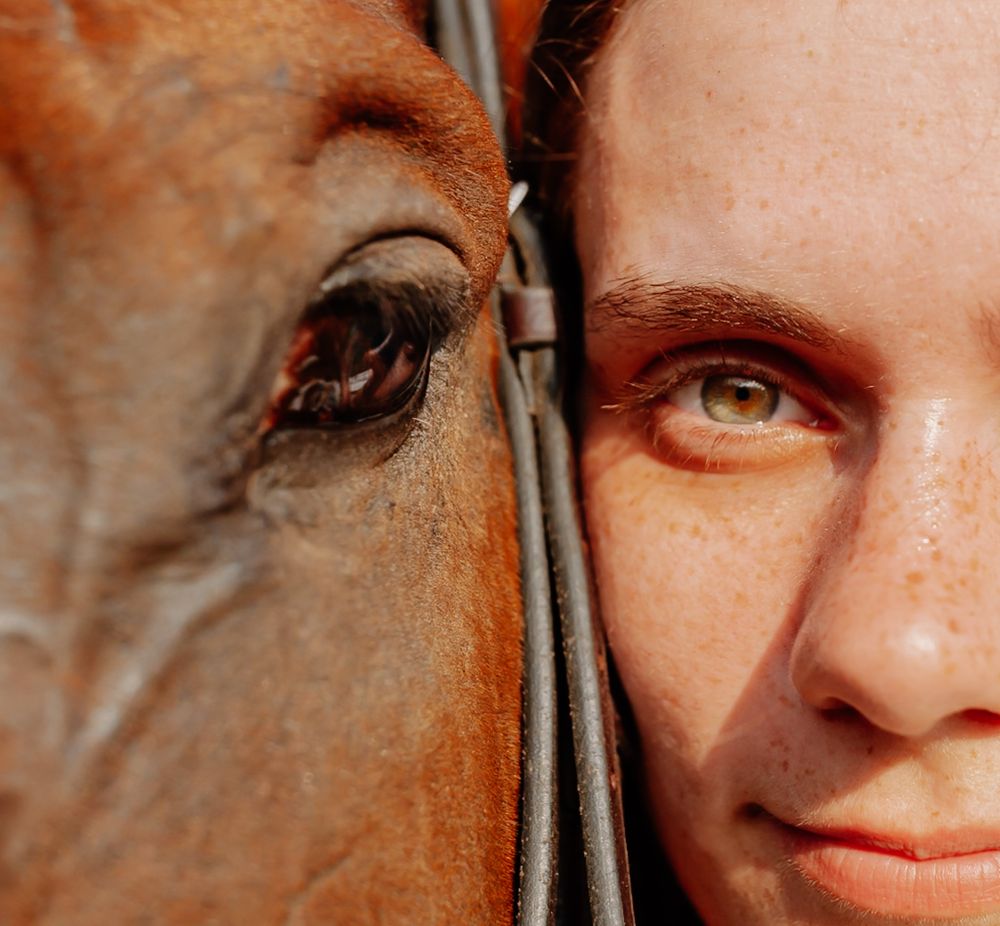 Close-up artistic portrait sequence showing eye and facial features in warm tones.