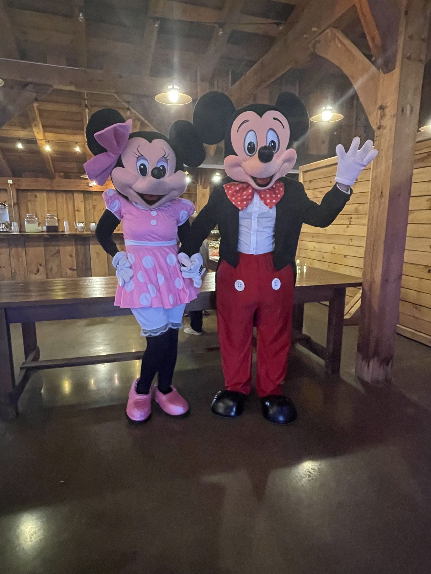 Mickey and Minnie Mouse characters posing in formal attire inside a rustic venue.