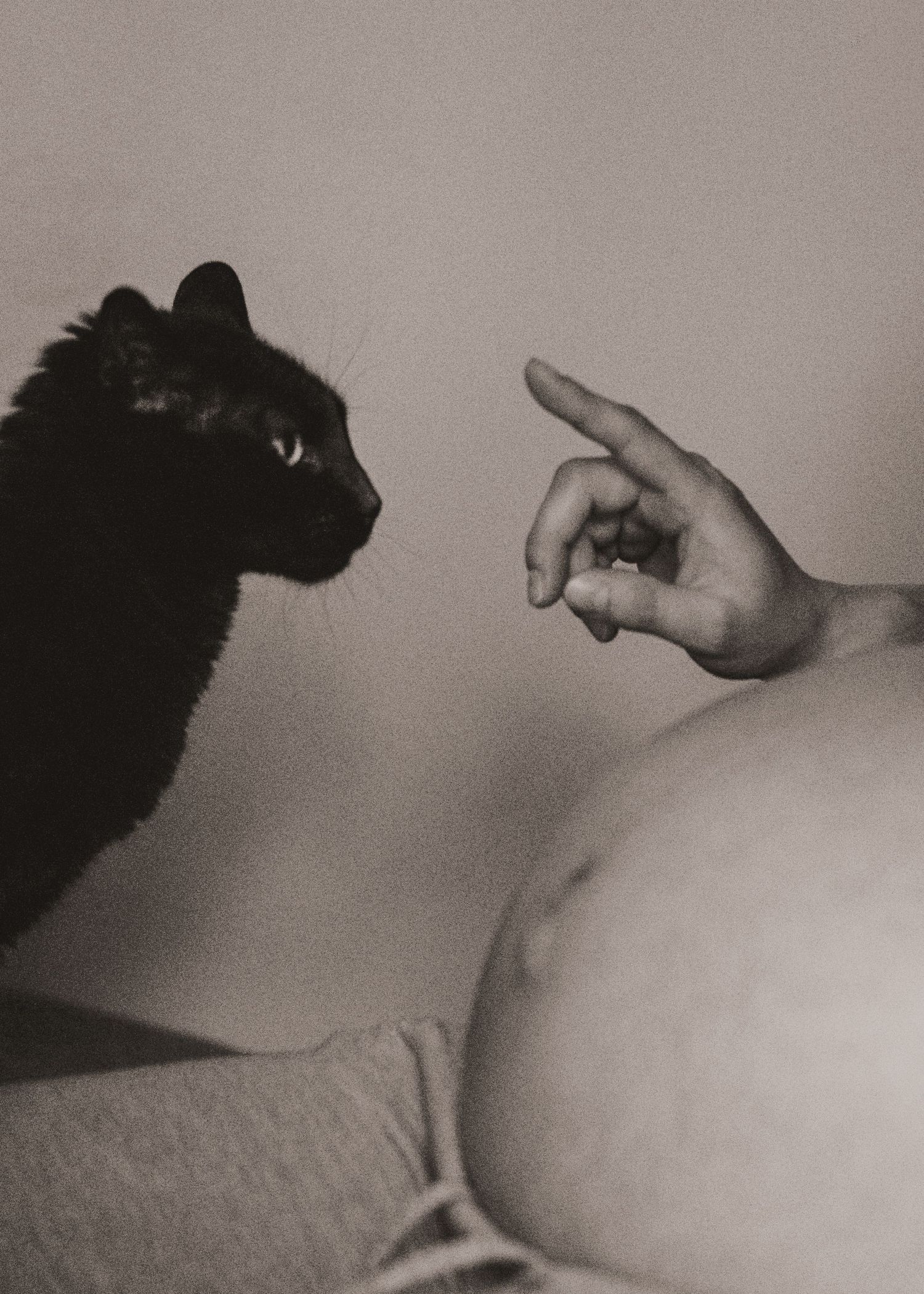 Black cat facing a pregnant woman's belly as she points her finger at it, in a black and white photo.
