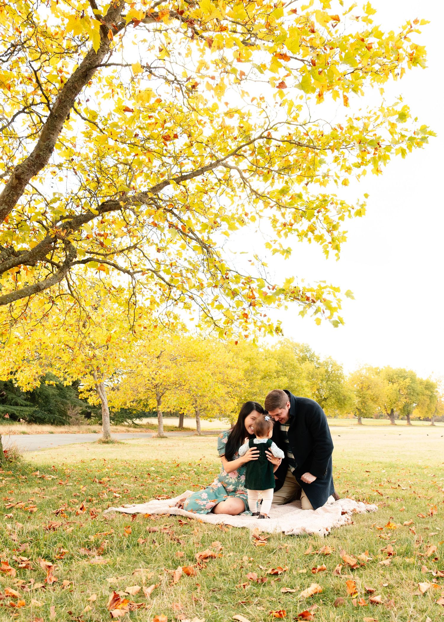 Family enjoying autumn picnic under yellow ginkgo trees with fallen leaves scattered on grass.