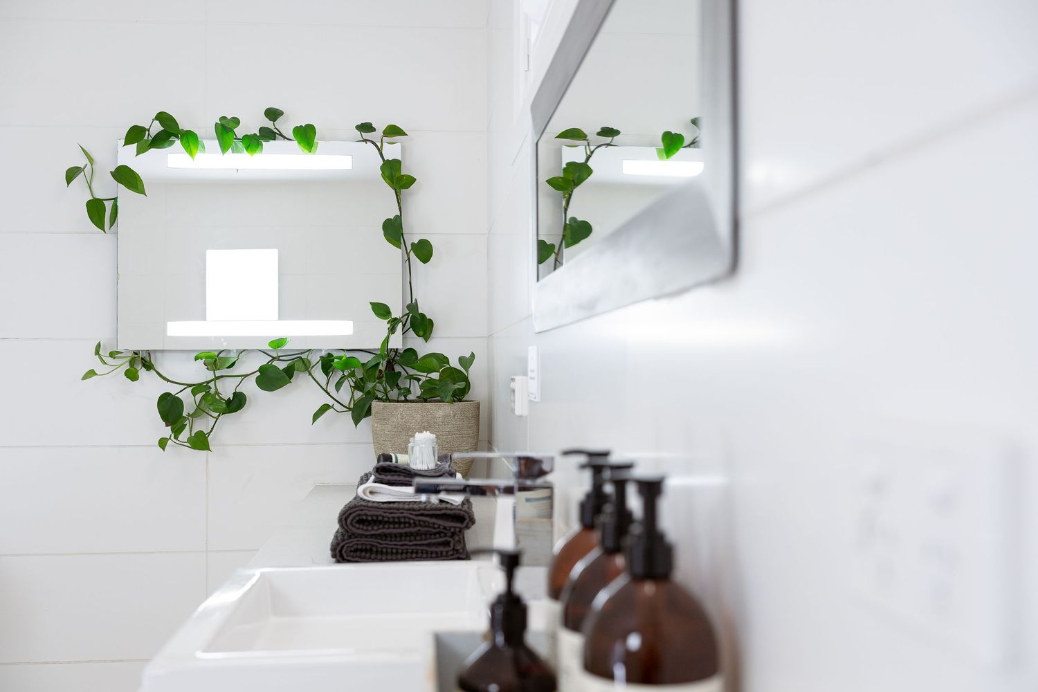 Potted trailing pothos plants with green leaves decorating white bathroom shelves above a toilet.