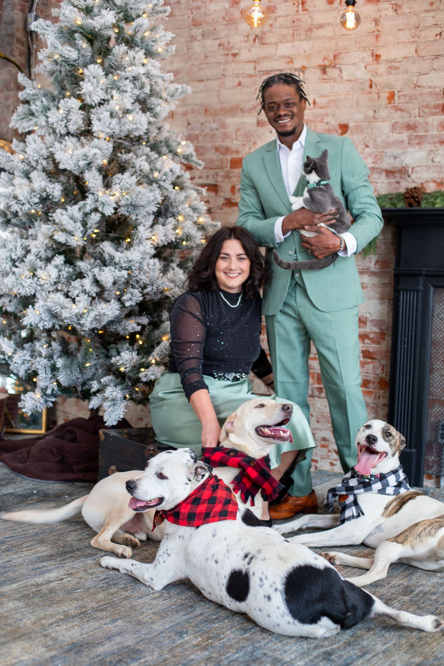 Christmas family photography in Cincinnati featuring multiple dogs and cat with couple, capturing cozy holiday lifestyle pet-friendly portra
