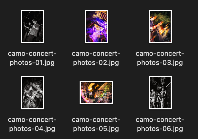 Grid of concert photography thumbnails showing black and white and color performance shots on dark background.