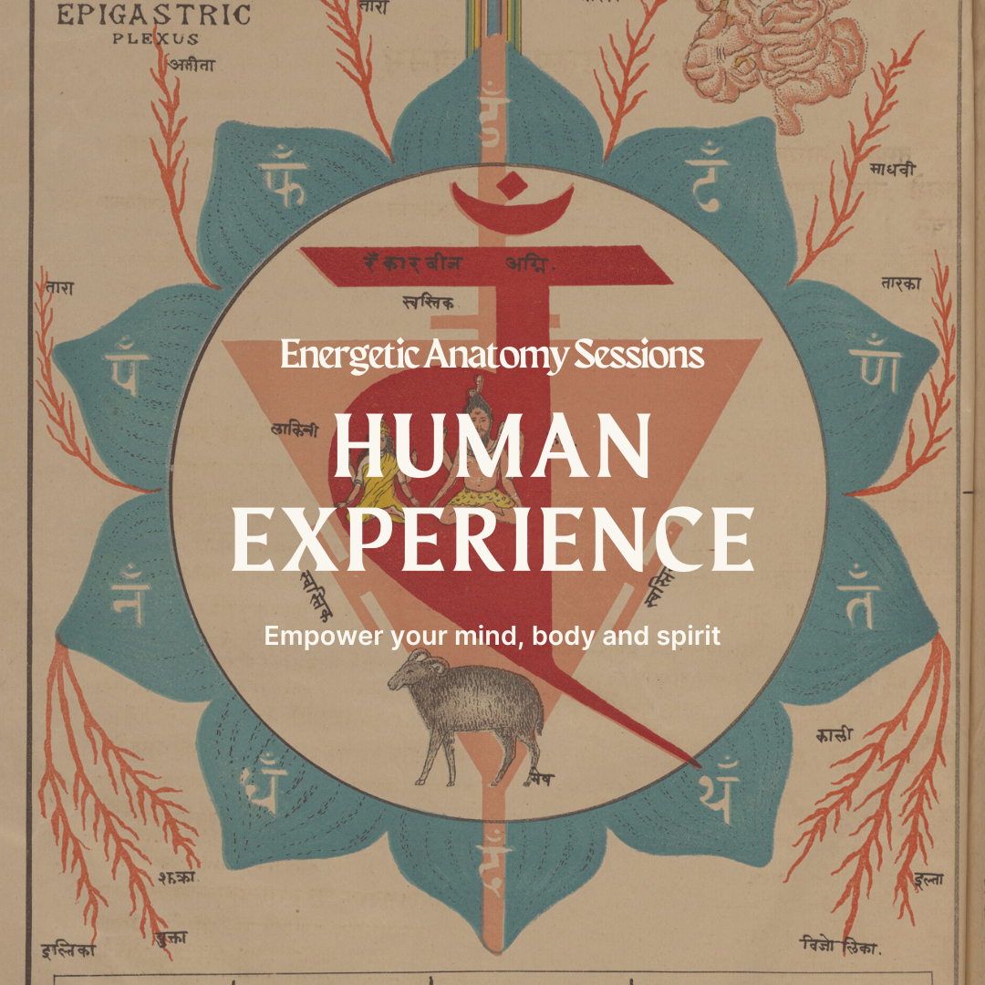 Human experience_Yoga Korner