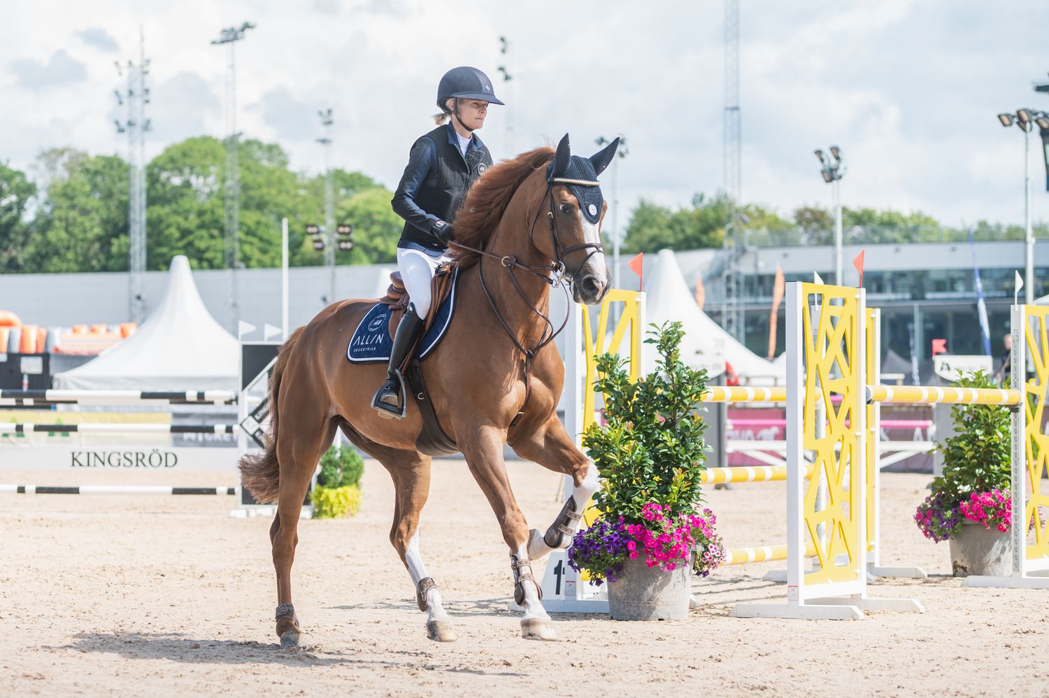 Equestrian rider competing in show jumping event with brown horse passing by colorful flower decorations at outdoor arena.