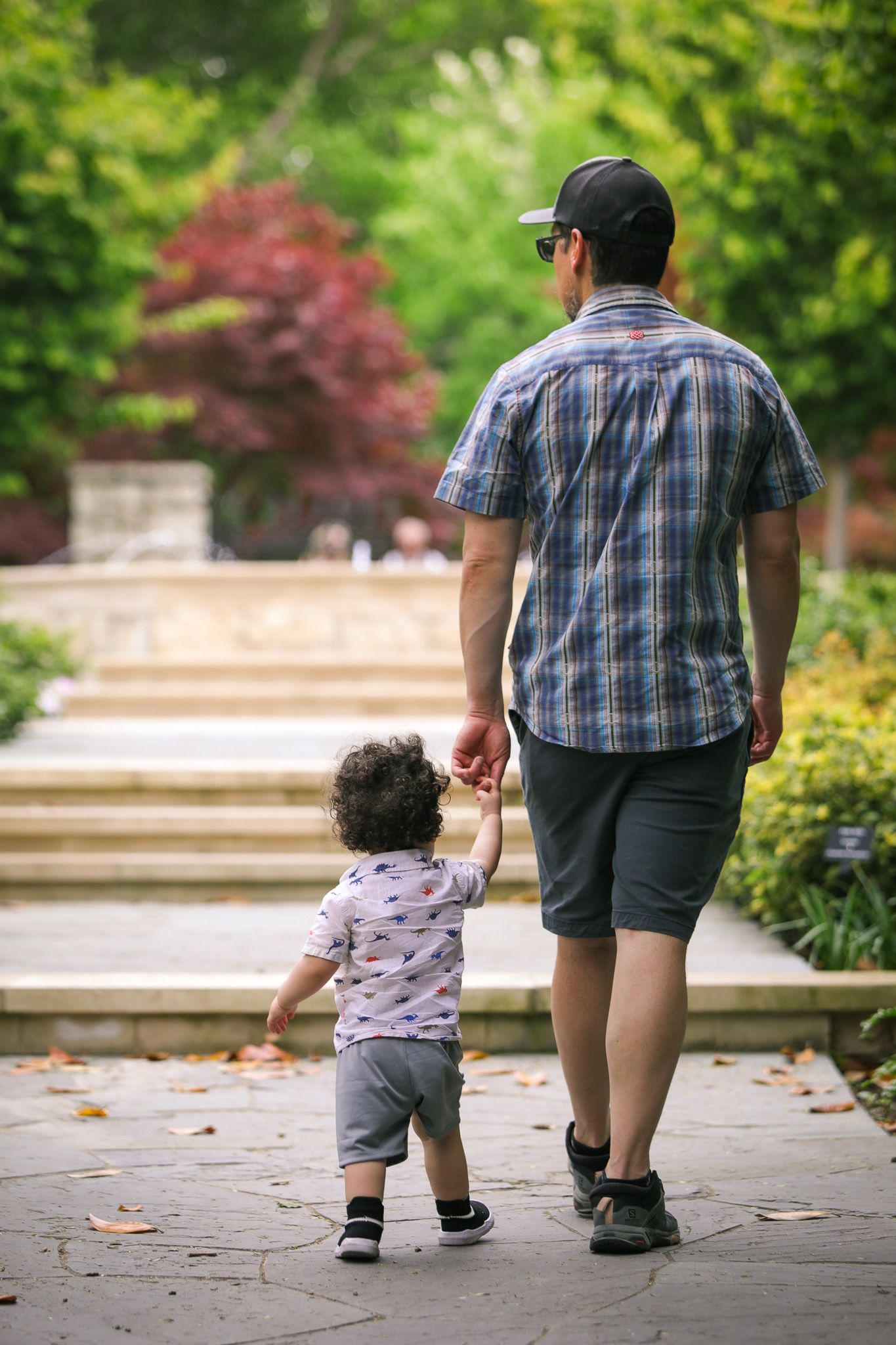 father son photographery, affordable, local
