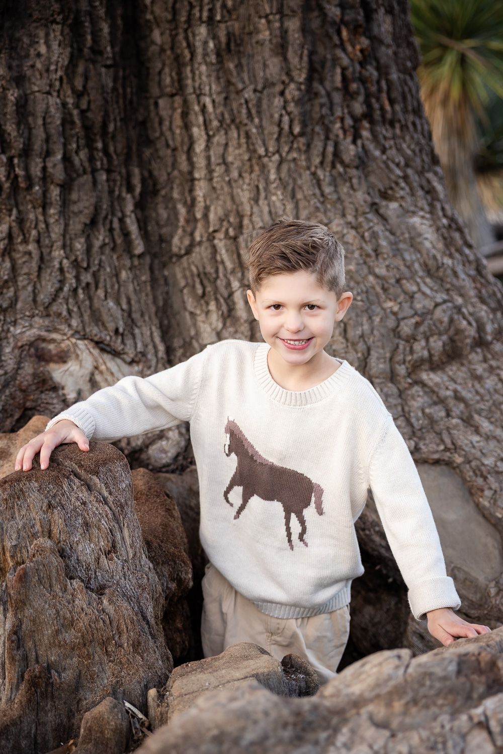 A boy smiles while posing in a tree