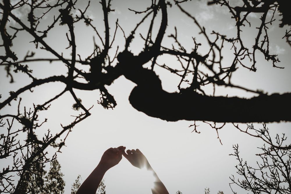 detalhes das mãos contra luz, foto colorida. surante sessão fotográfica de grávida em Caldas da Rainha Portugal