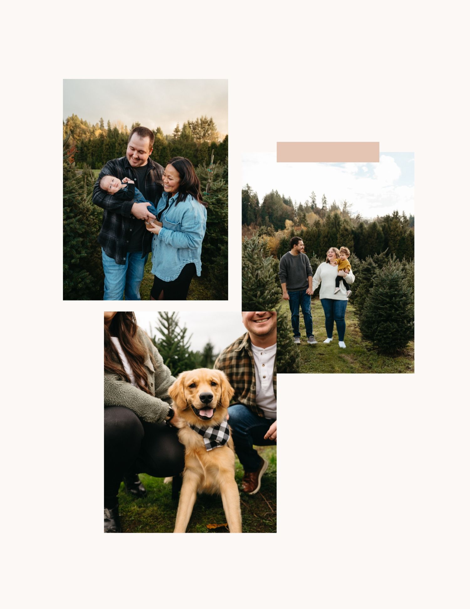 Collection of candid outdoor photo session moments at a Christmas tree farm.