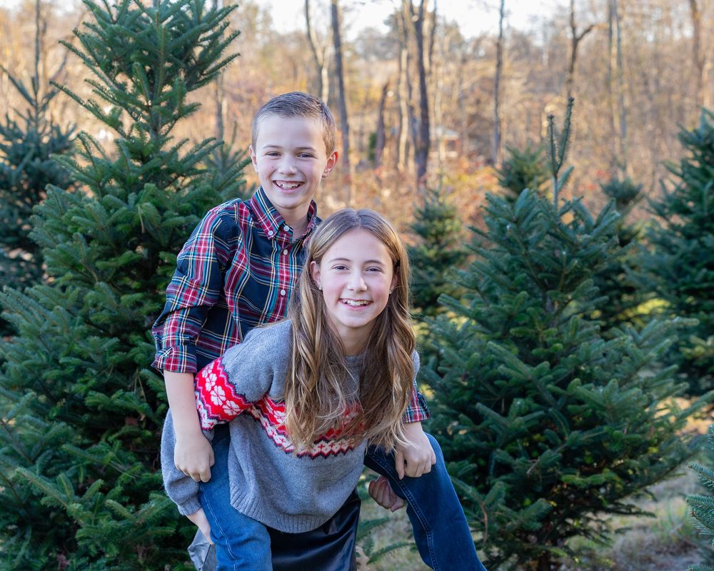 Siblings pose a tree at a Mistletoe Christmas Tree Farm in Stow, MA at holiday family photo session by Lisa West Photography.