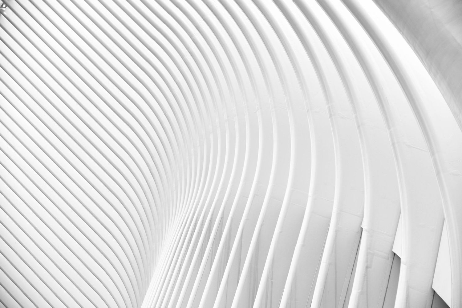 Abstract architectural detail showing curved white ribs creating a flowing geometric pattern in monochrome.