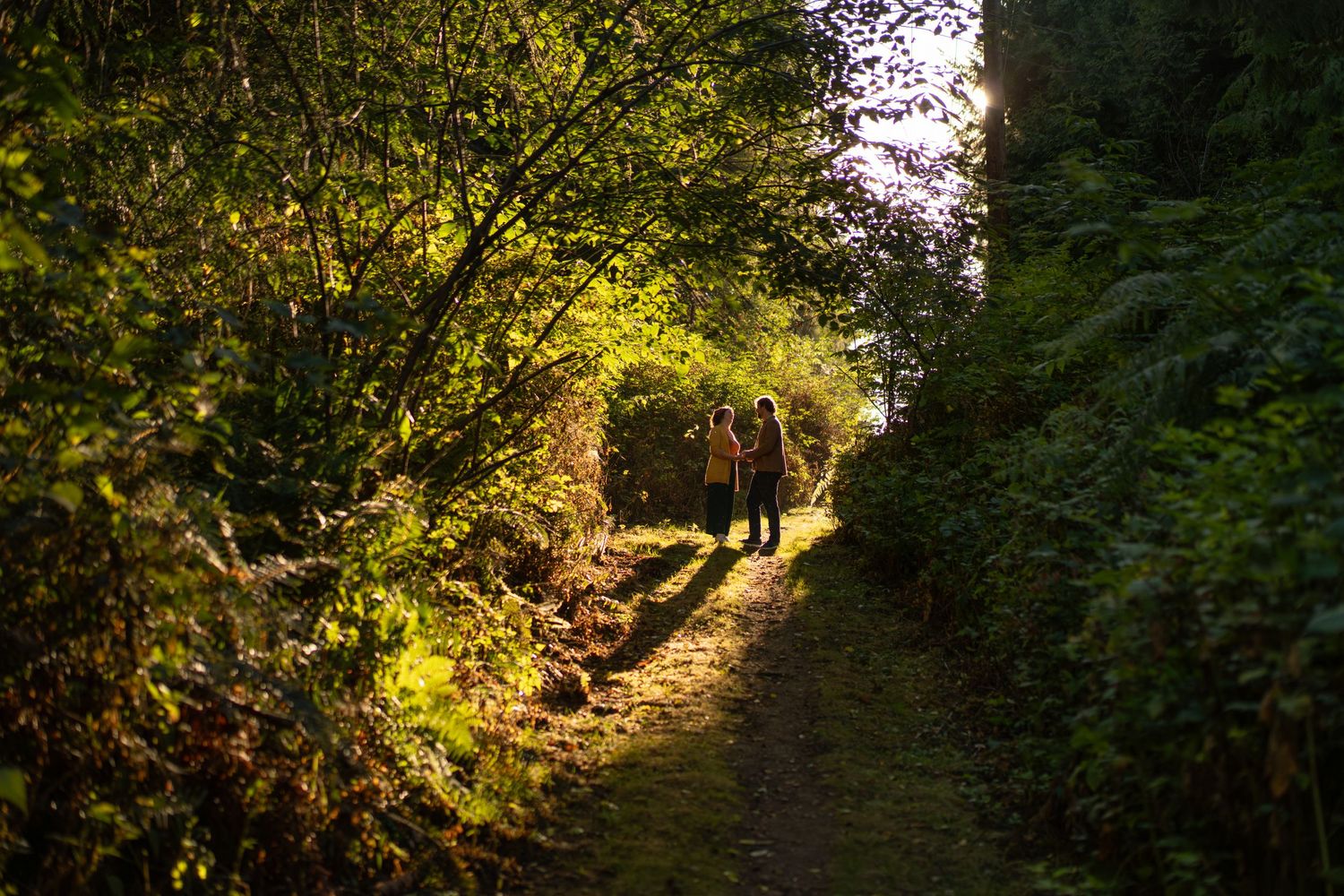 A sunlit forest path through dense foliage creates a natural tunnel of green leaves and branches. Captured by Savvy Photography