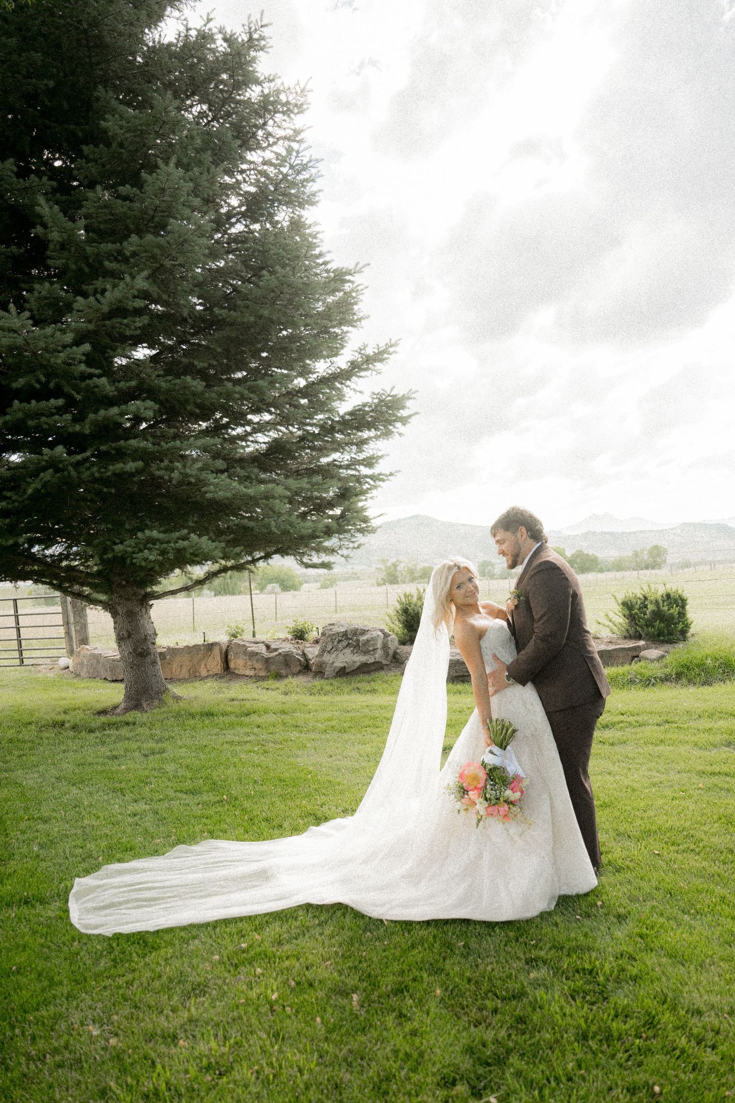 A romantic wedding couple poses on a grassy hillside beneath a large evergreen tree, with flowing white veil and dress.