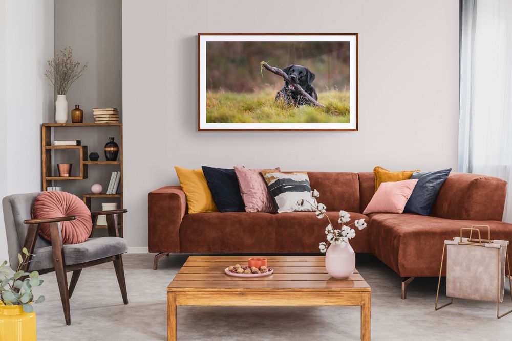 Cozy living room with brown leather sectional sofa, wooden coffee table and colorful throw pillows.